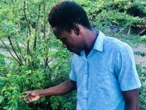 Guiler Nolny Aphonse